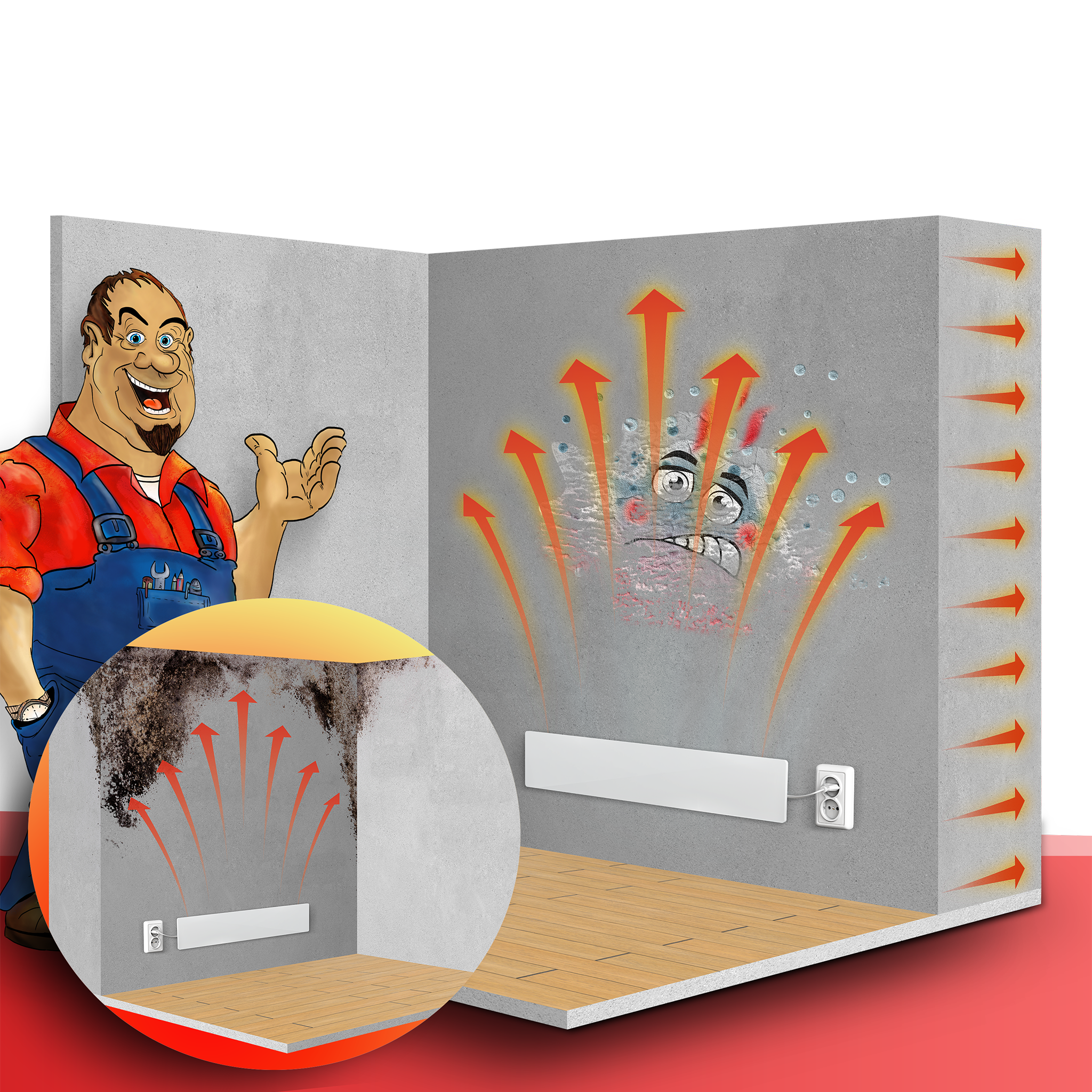 Funktion von Schimmel Hans an und in der Wand