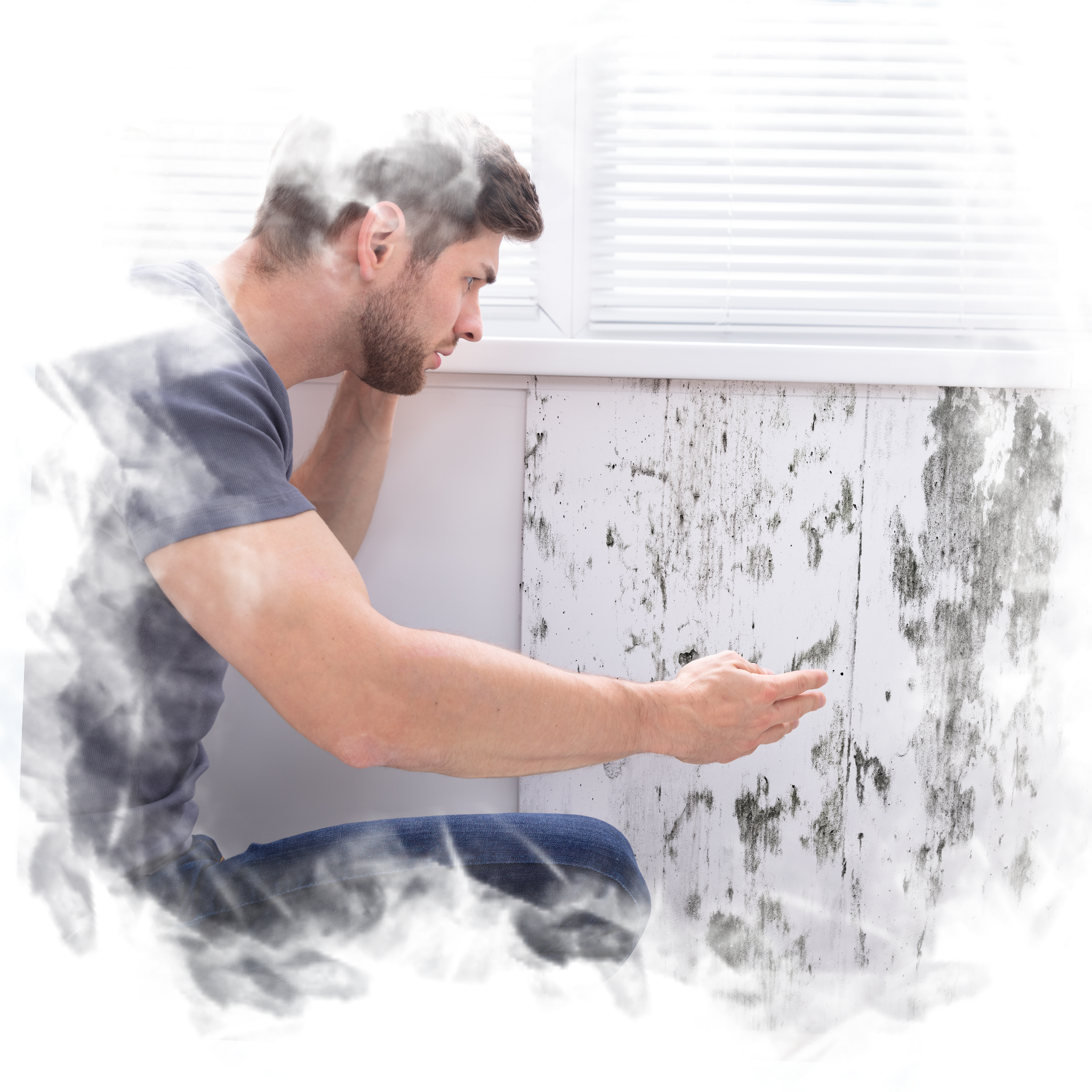 Schimmel-Check - was tun.