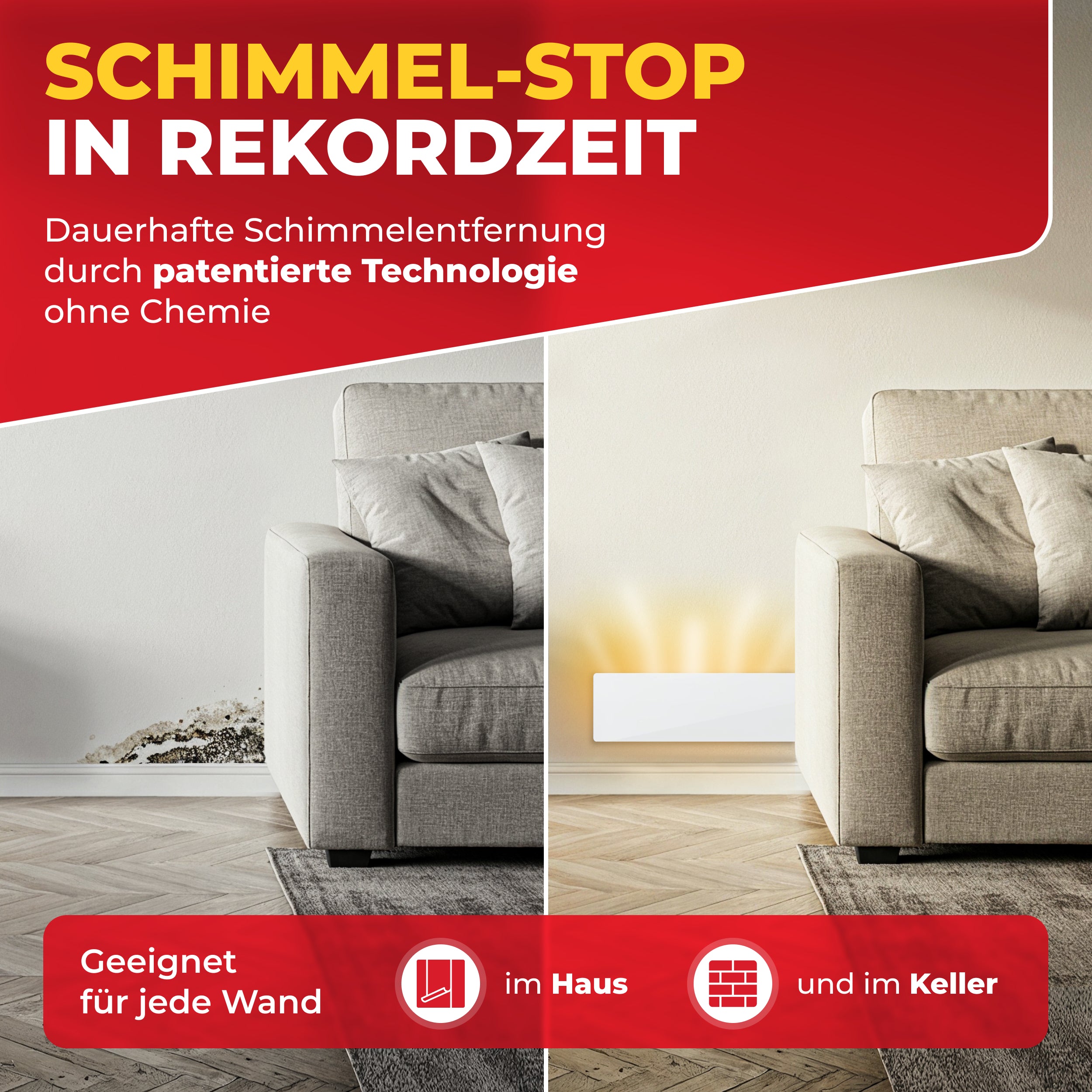 3er SET | SCHIMMEL HANS