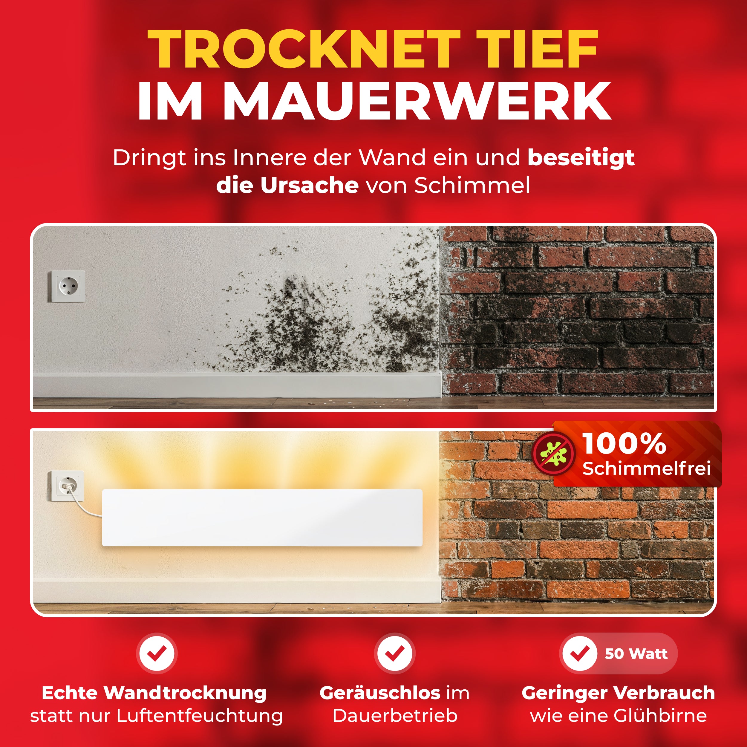 Funktionsweise von Schimmel Hans