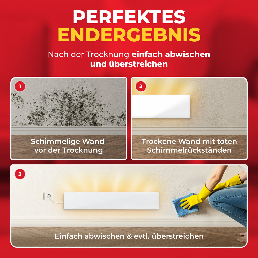 ERWEITERUNG M2 | SCHIMMEL HANS