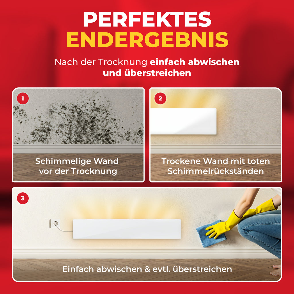 3er SET | SCHIMMEL HANS