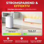 ERWEITERUNG M2 | SCHIMMEL HANS