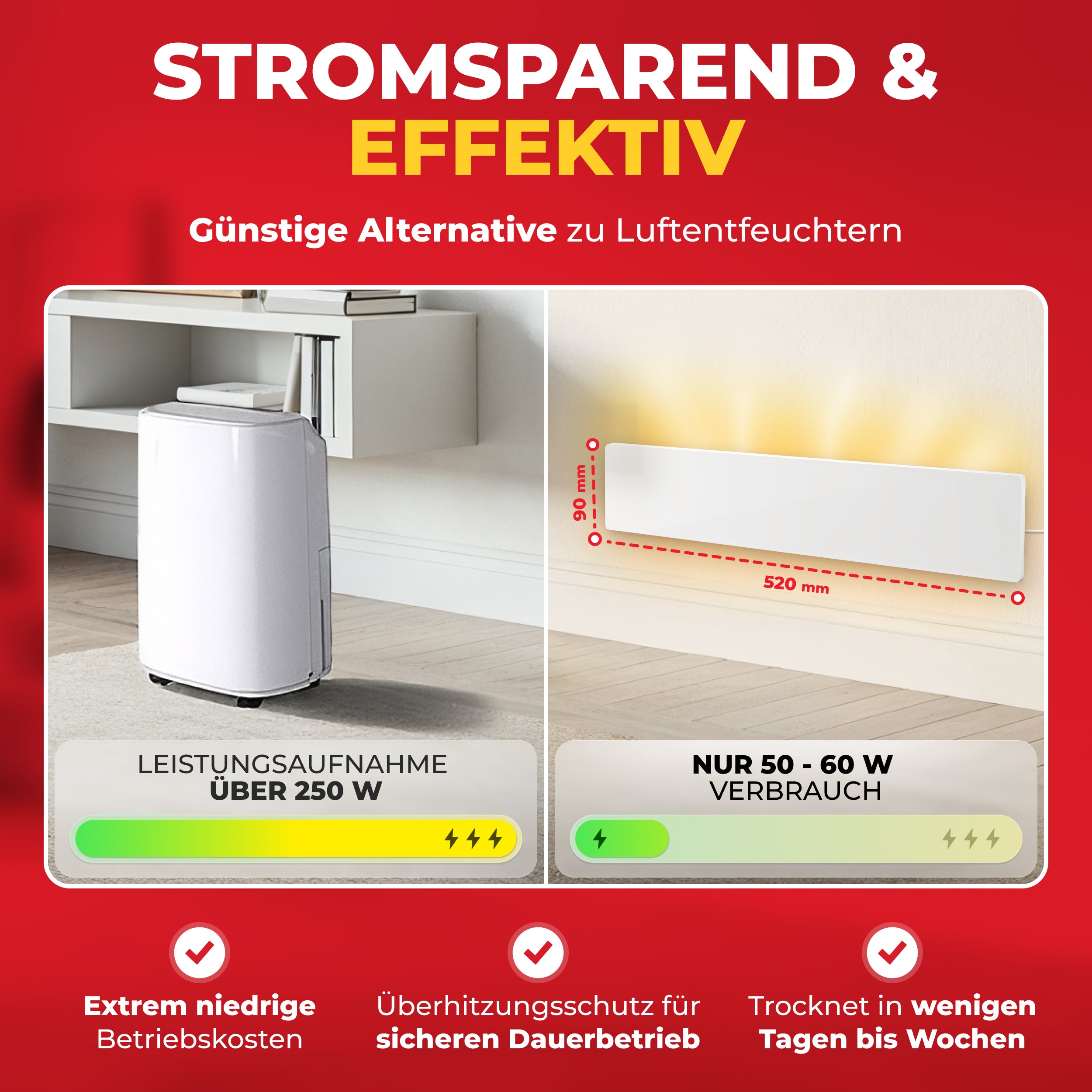 3er SET | SCHIMMEL HANS