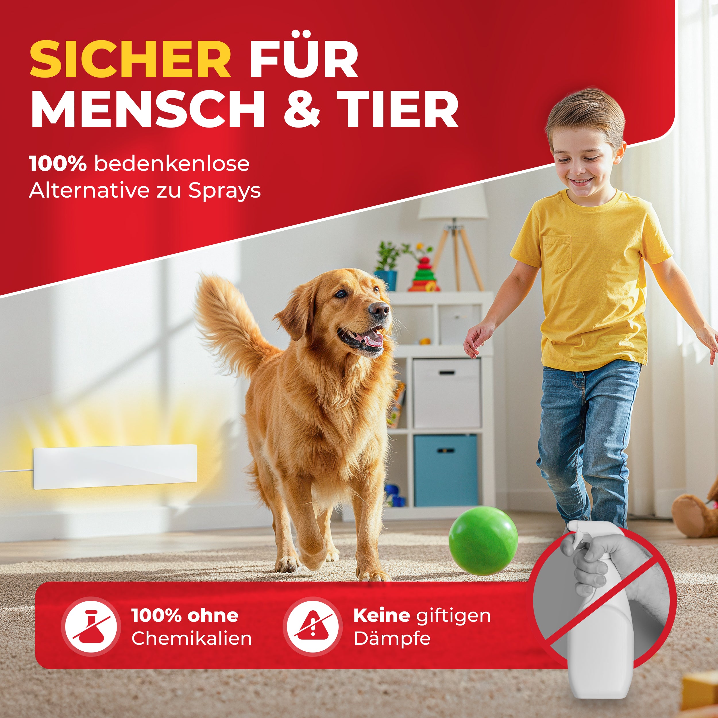 3er SET | SCHIMMEL HANS